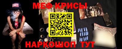 стаф Гай