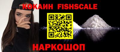 индика Гатчина
