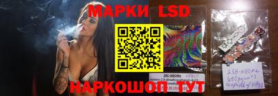 стаф Гай