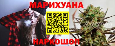 стаф Гай
