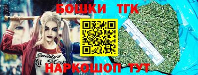 индика Гатчина