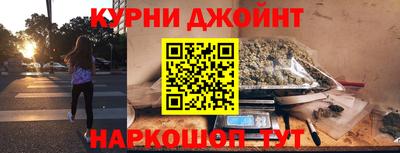 индика Гатчина