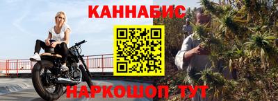 стаф Гай