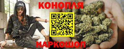 индика Гатчина