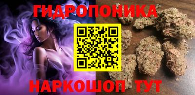 стаф Гай