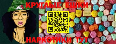 индика Гатчина