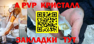 индика Гатчина