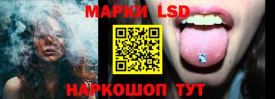 стаф Гай