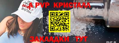 стаф Гай