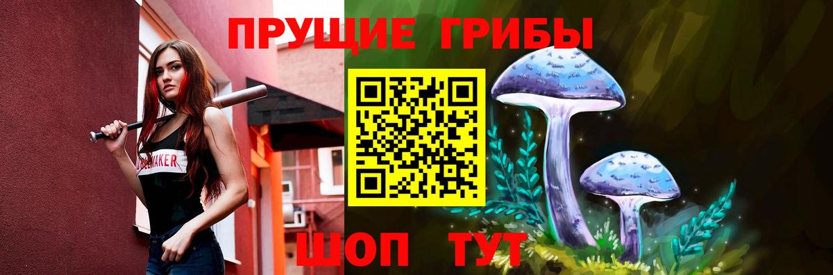 Псилоцибиновые грибы Cubensis Звенигород